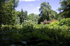 _MG_4187.jpg