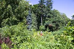 _MG_4264.jpg