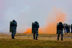 IMG_7282.jpg