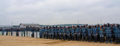 IMG_7538.jpg