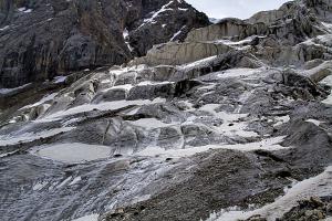 IMG_0158.jpg