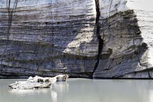 IMG_0483.jpg