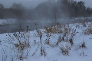IMG_0585.jpg