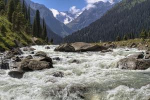 IMG_0784.jpg
