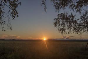 IMG_0893.jpg