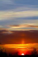 IMG_0996.jpg
