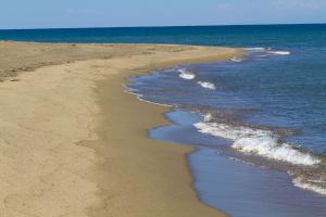 IMG_1276.jpg