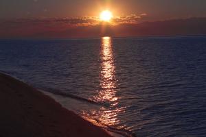 IMG_1391.jpg