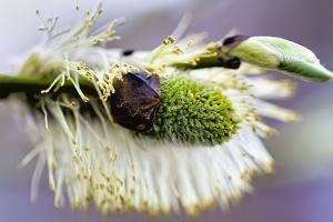 IMG_1447.jpg