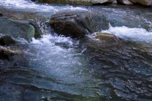 IMG_2707.jpg
