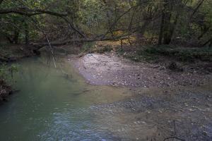 IMG_2982.jpg