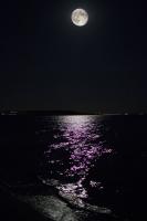 IMG_4910.jpg