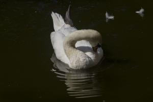 IMG_5475.jpg