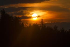 IMG_5781.jpg