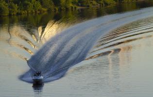 IMG_5970.jpg