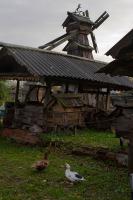 IMG_6188.jpg