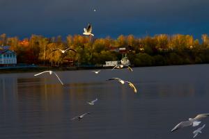 IMG_6411.jpg