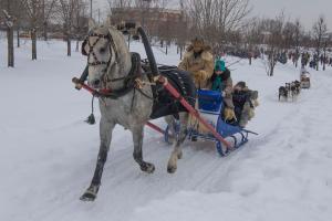 IMG_6500_2.jpg
