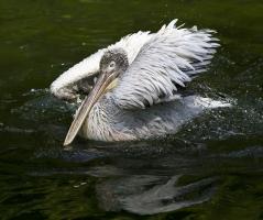 IMG_6749.jpg