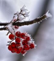 IMG_7722.jpg