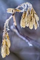 IMG_7742.jpg