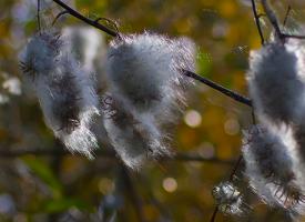 IMG_8027.jpg