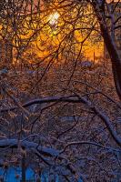 IMG_8198.jpg