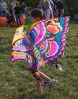 IMG_9073.jpg