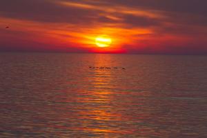 IMG_9331.jpg