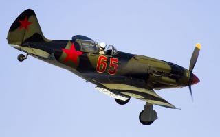 IMG_9596.jpg