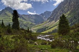 IMG_9970.jpg