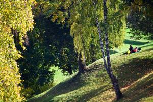 _MG_3329.jpg