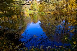 _MG_3858.jpg