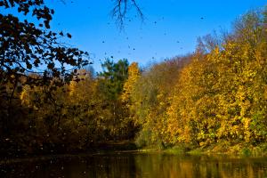 _MG_3982.jpg