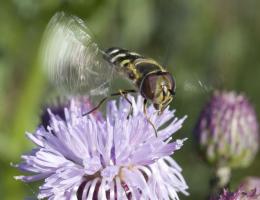 _MG_5044.jpg