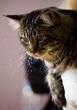 _MG_5163.jpg