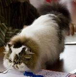 _MG_5215.jpg