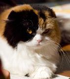 _MG_5616.jpg