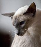 _MG_5660.jpg