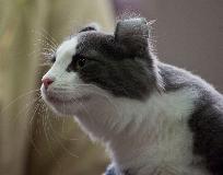 _MG_5697.jpg