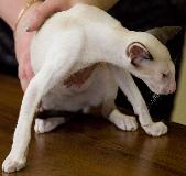_MG_5910.jpg
