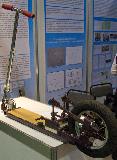 IMG_8808.jpg