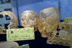 IMG_9060.jpg
