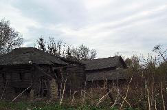 IMG_1383.jpg
