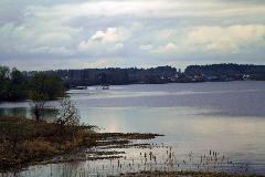 IMG_1406.jpg