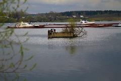 IMG_1411.jpg