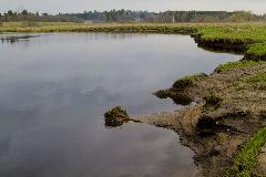IMG_1527.jpg
