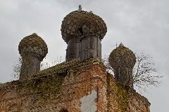 IMG_1547.jpg
