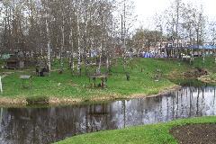 IMG_1599.jpg