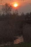 IMG_1623.jpg